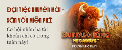 Thể thao MM99 Casino